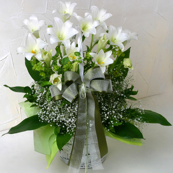 ������ �Ͼ���ղɹٱ���